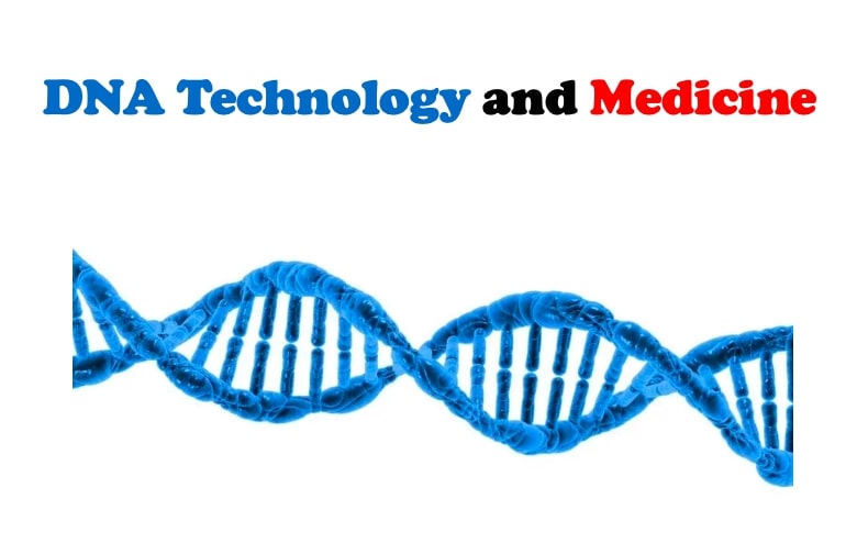 Which Career Combines DNA Technology and Medicine? - PostDock