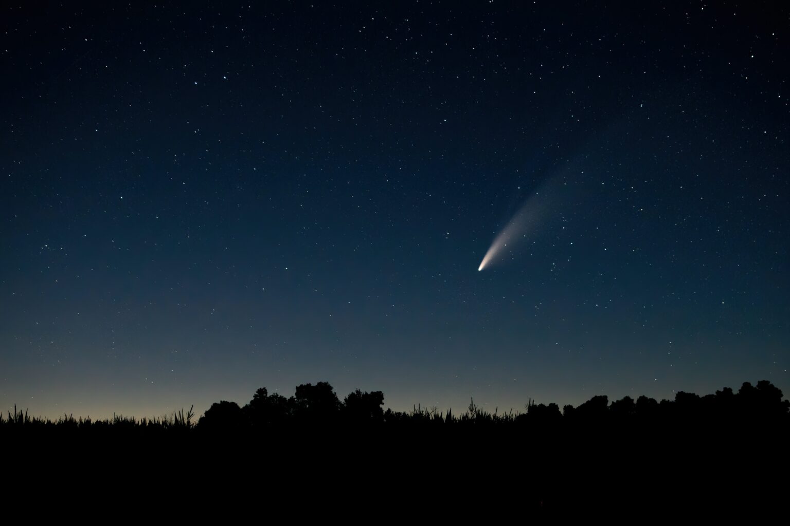 Who Was Born During A Visit Of Halley's Comet And Died Upon Its Return ...