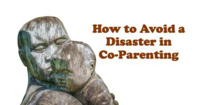 How to Avoid a Disaster in Co-Parenting