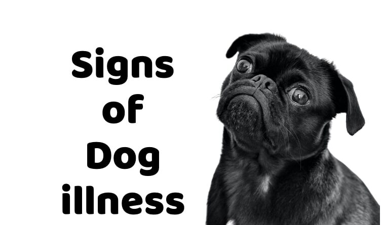 Signs of Dog illness