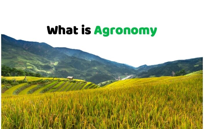 The Complete Guide to Agronomy