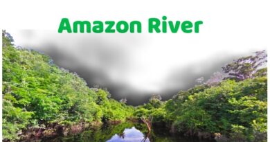Amazon River - What you Need to Know