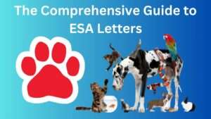 The Comprehensive Guide to Emotional Support Animal Letters