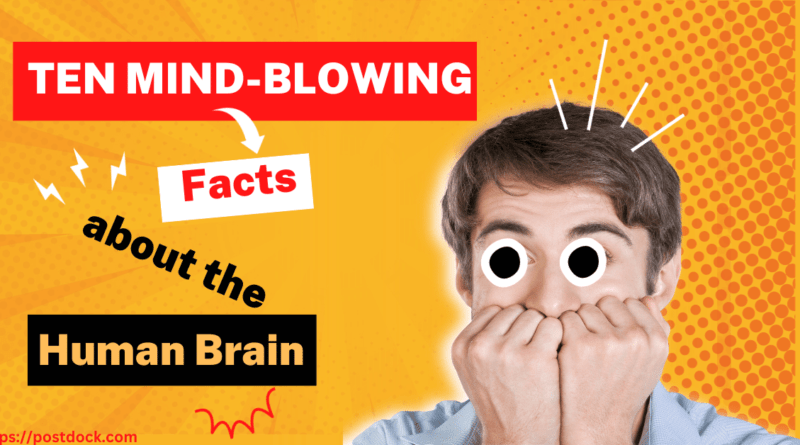 Ten Mind-Blowing Facts about the Human Brain