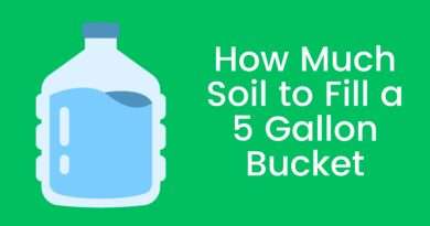 How Much Soil to Fill a 5 Gallon Bucket
