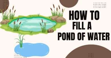 How to Fill a Pond with Water