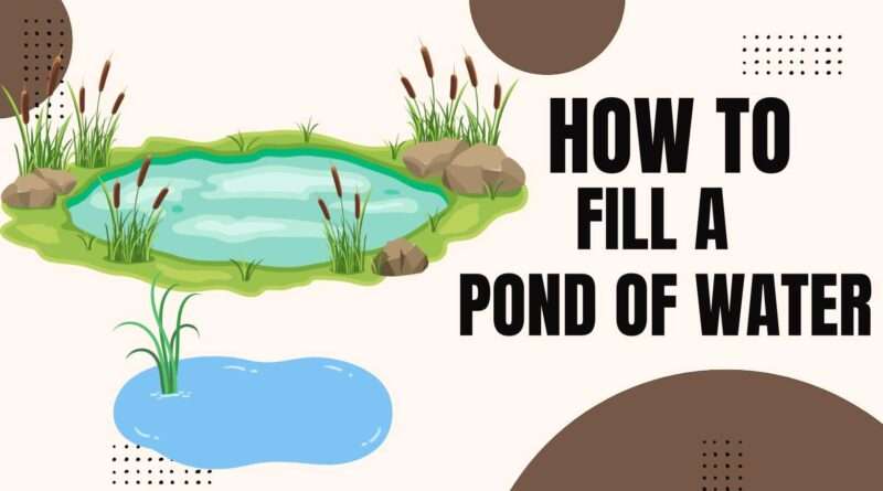 How to Fill a Pond with Water