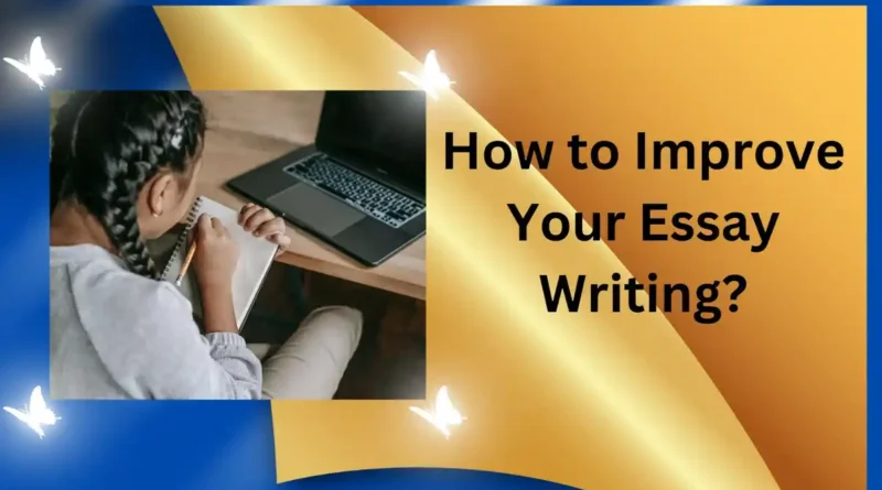 How to Improve your Essay Writing by postdock