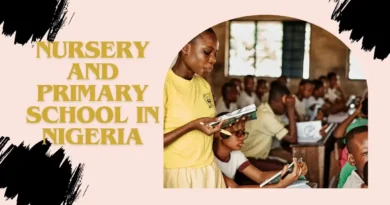How to Start a Nursery and Primary School in Nigeria