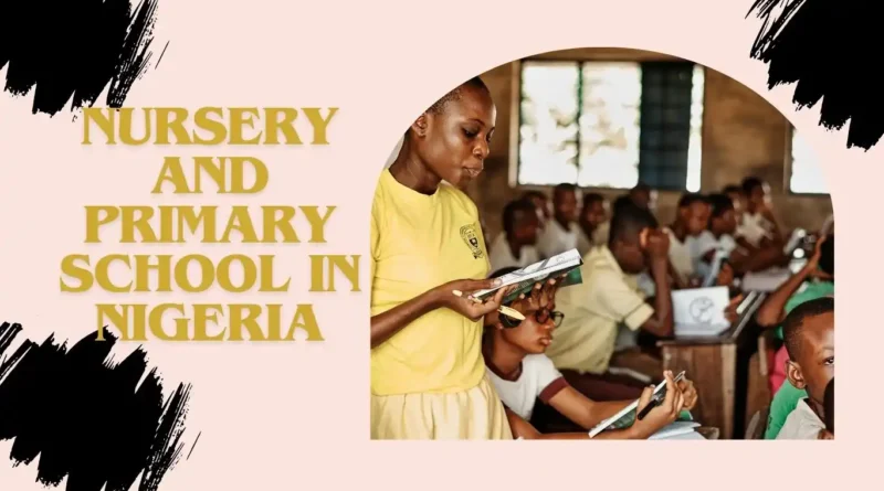 How to Start a Nursery and Primary School in Nigeria